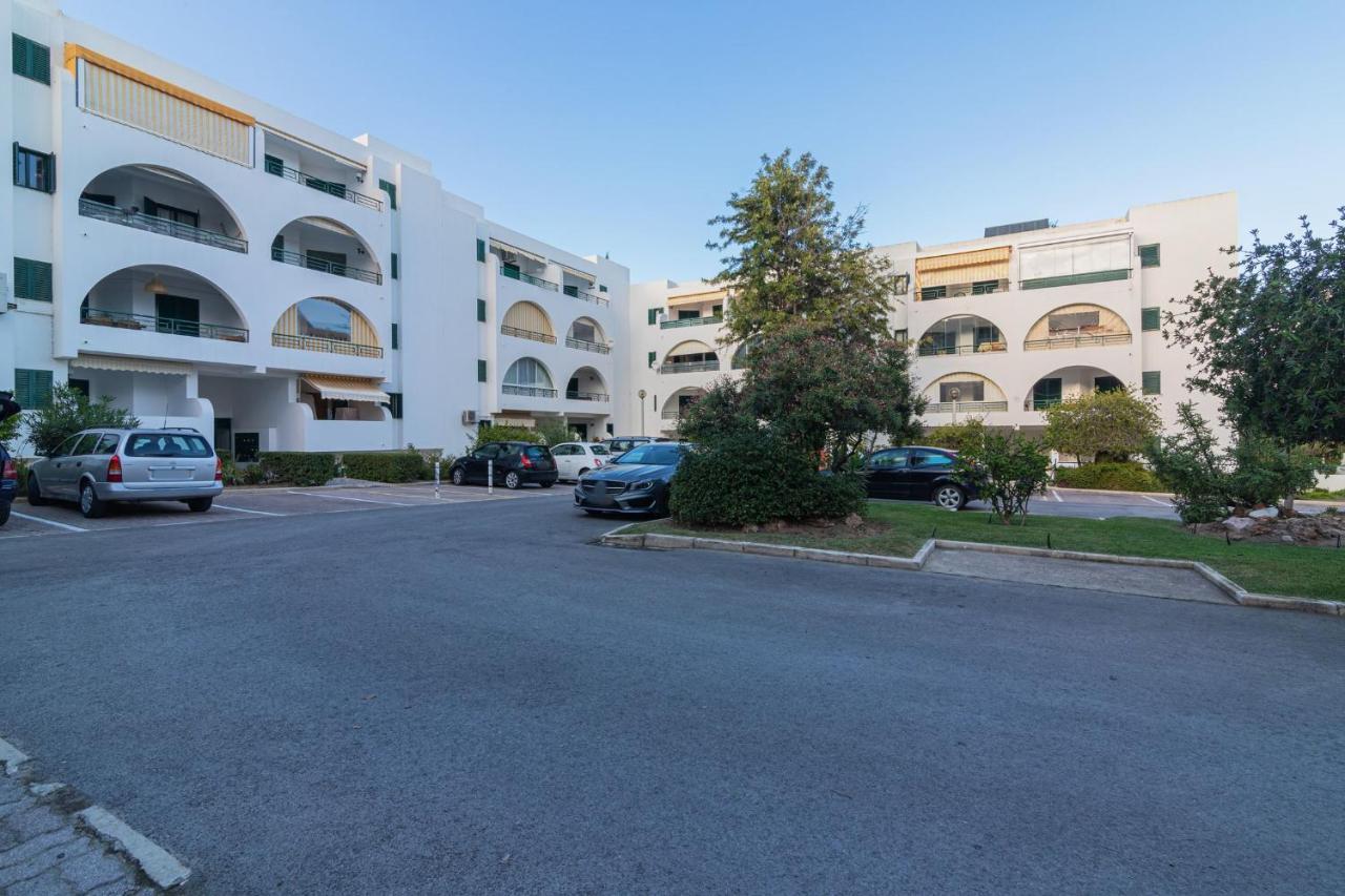Salgados 1 By Homing *