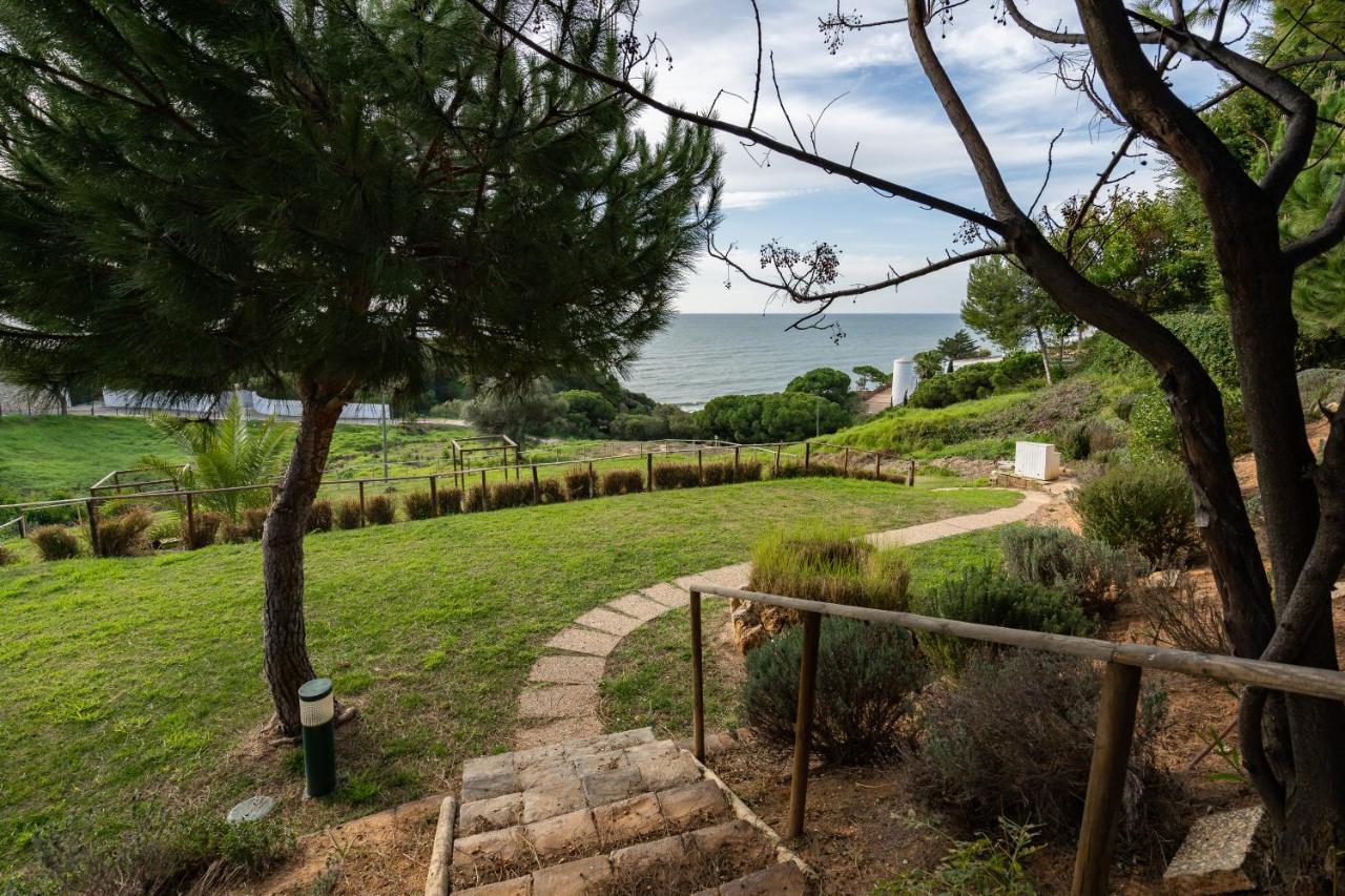 Pedra Dos Bicos By Intiholidays Apartment