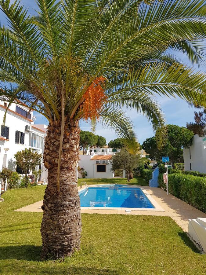 Algarve Falesia Albufeira