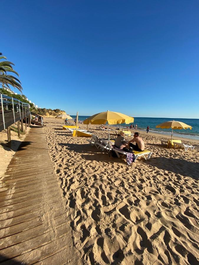 New Algarvegas Paradise
