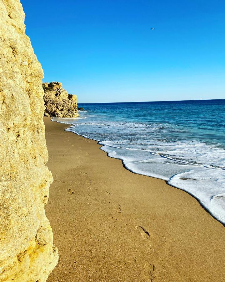 Apartment New Algarvegas Paradise Albufeira