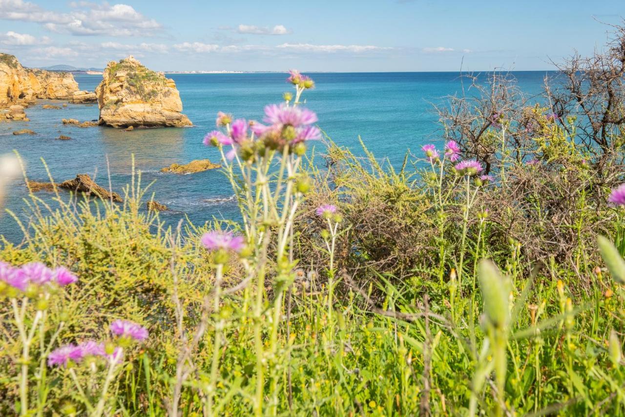 - Sleep 5 - Pool - Free Wi-fi - Air Con * Albufeira