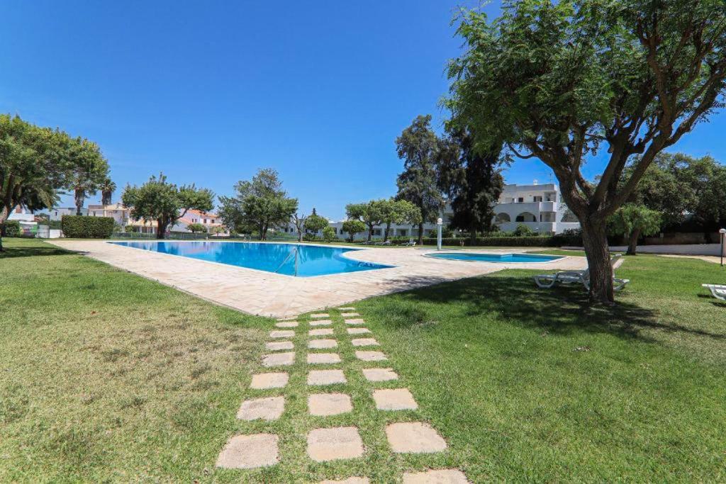Ninho Gaivotas Albufeira