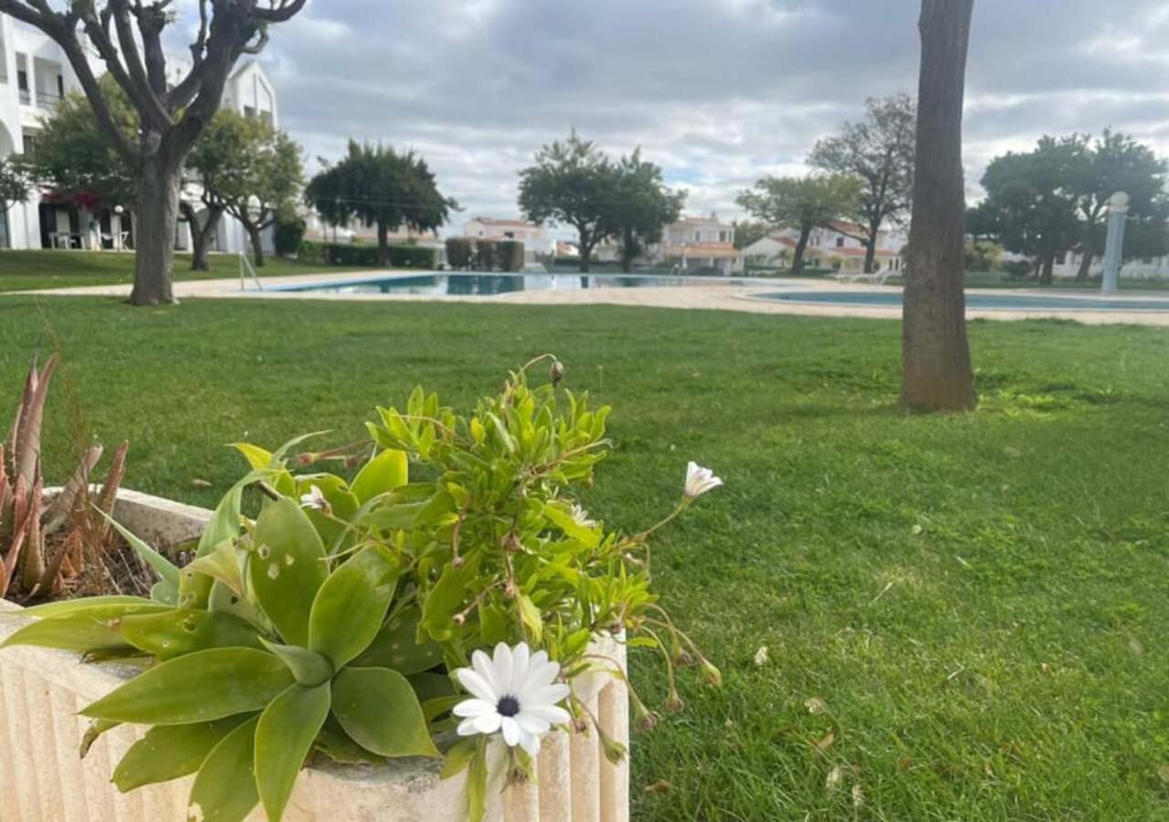 Apartment Title E Title - Oura