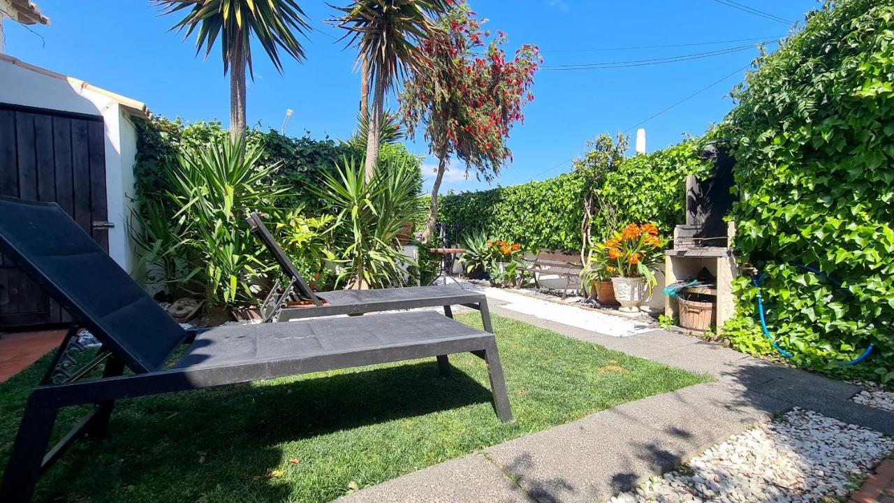 Apartment Cozy Garden T1 Near The *
