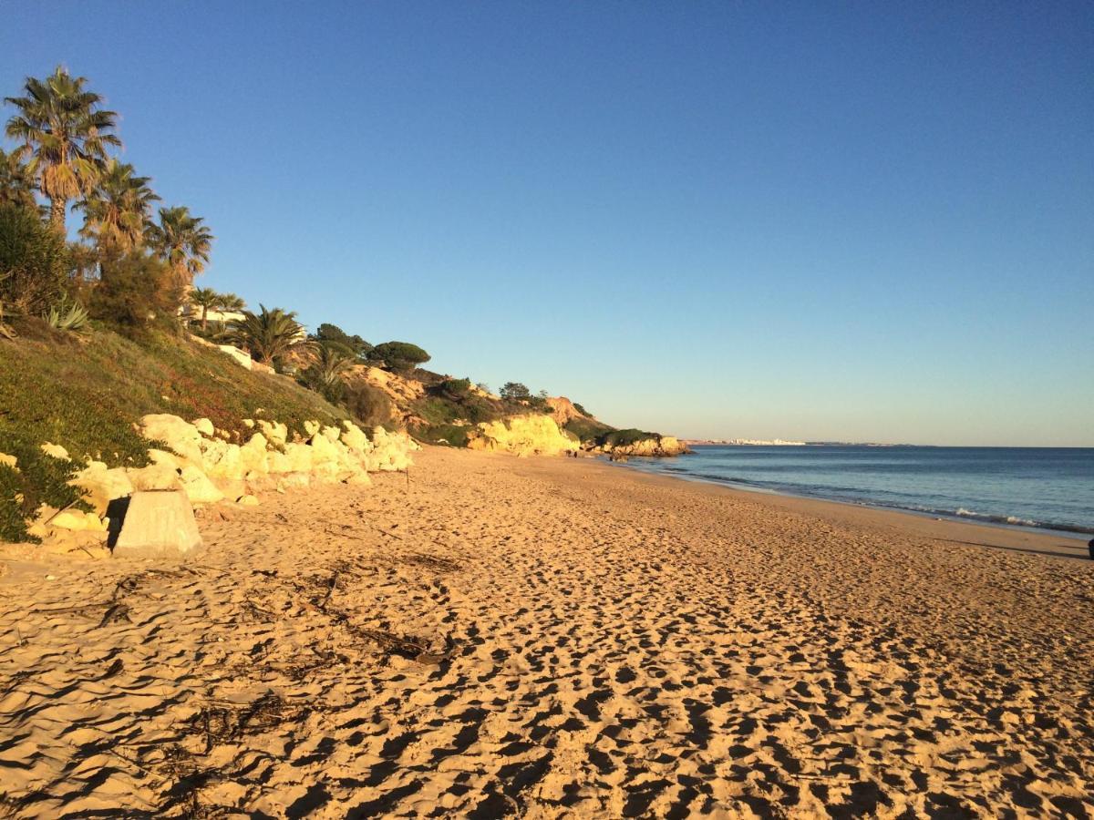 Bicos 101 By Check-in Portugal Albufeira