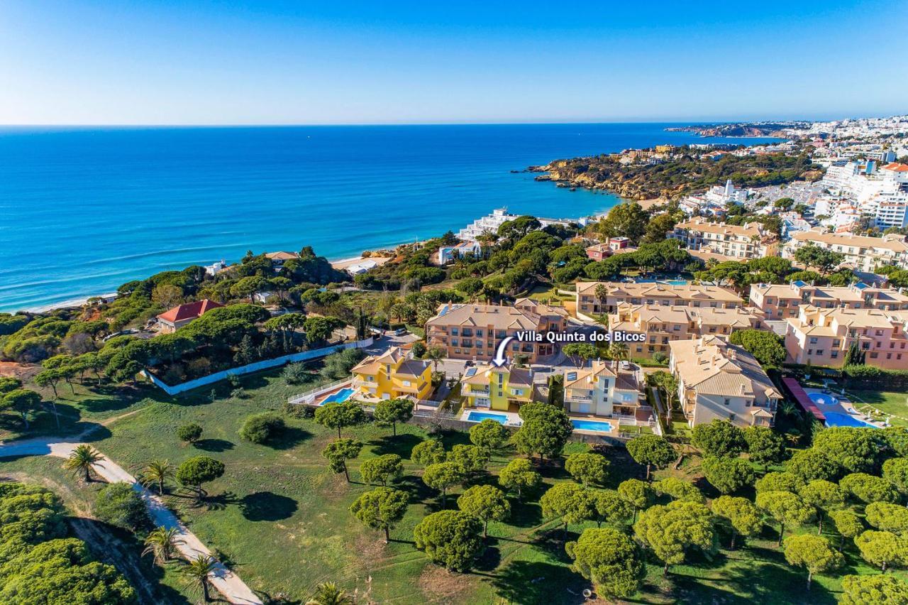 Villa Quinta Dos Bicos By Albufeira