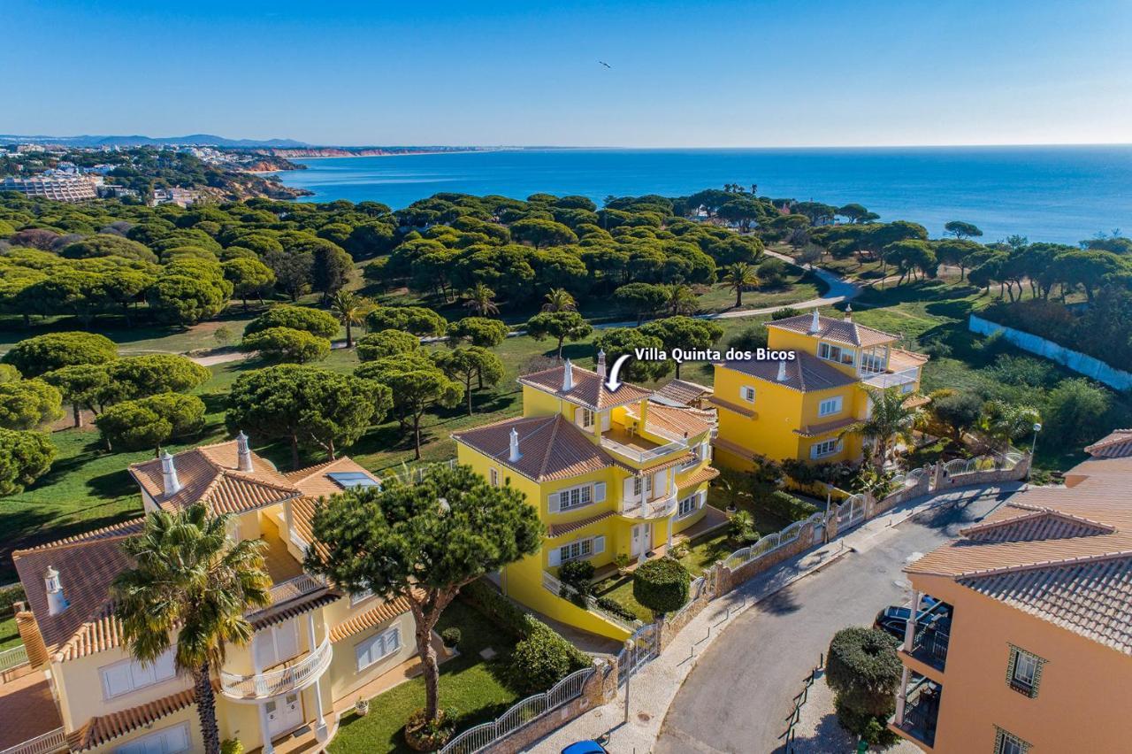 Villa Quinta Dos Bicos By