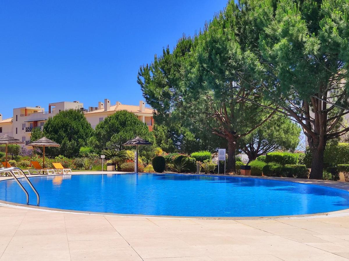 Fabulous Sunny Pool&garden By Becherish *