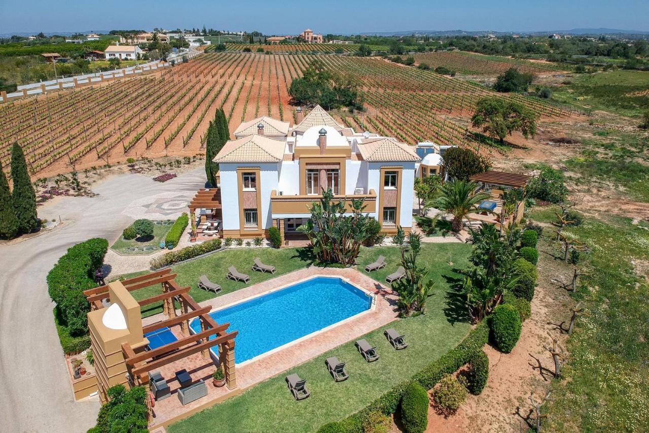 Quinta Dionysus