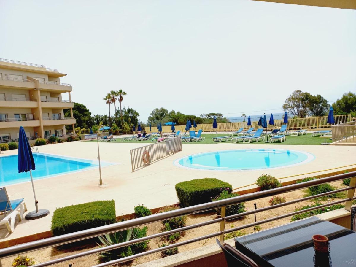 Barracuda Bythesea * Albufeira