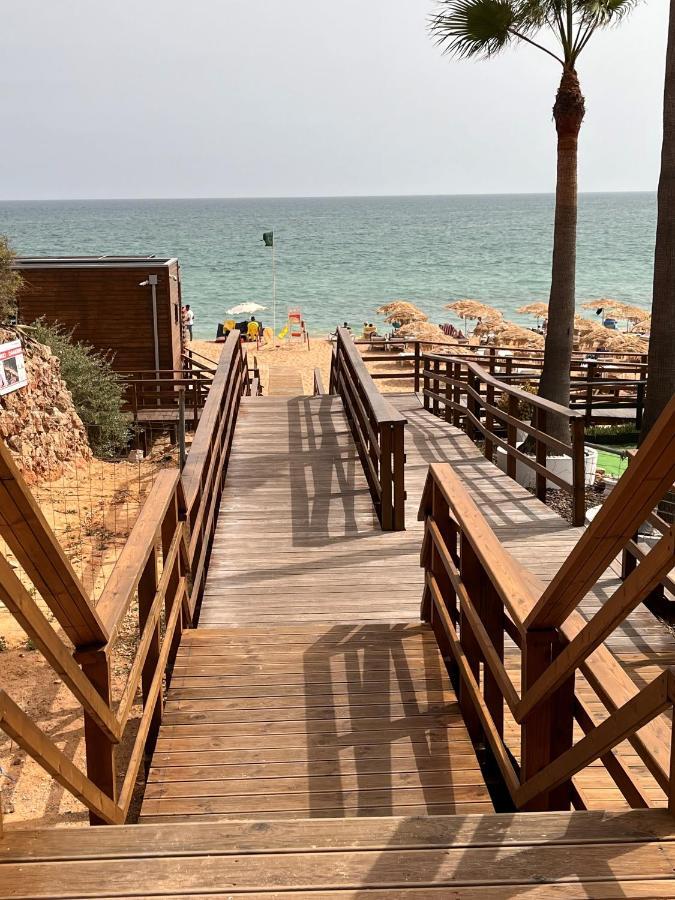 Barracuda Bythesea * Albufeira