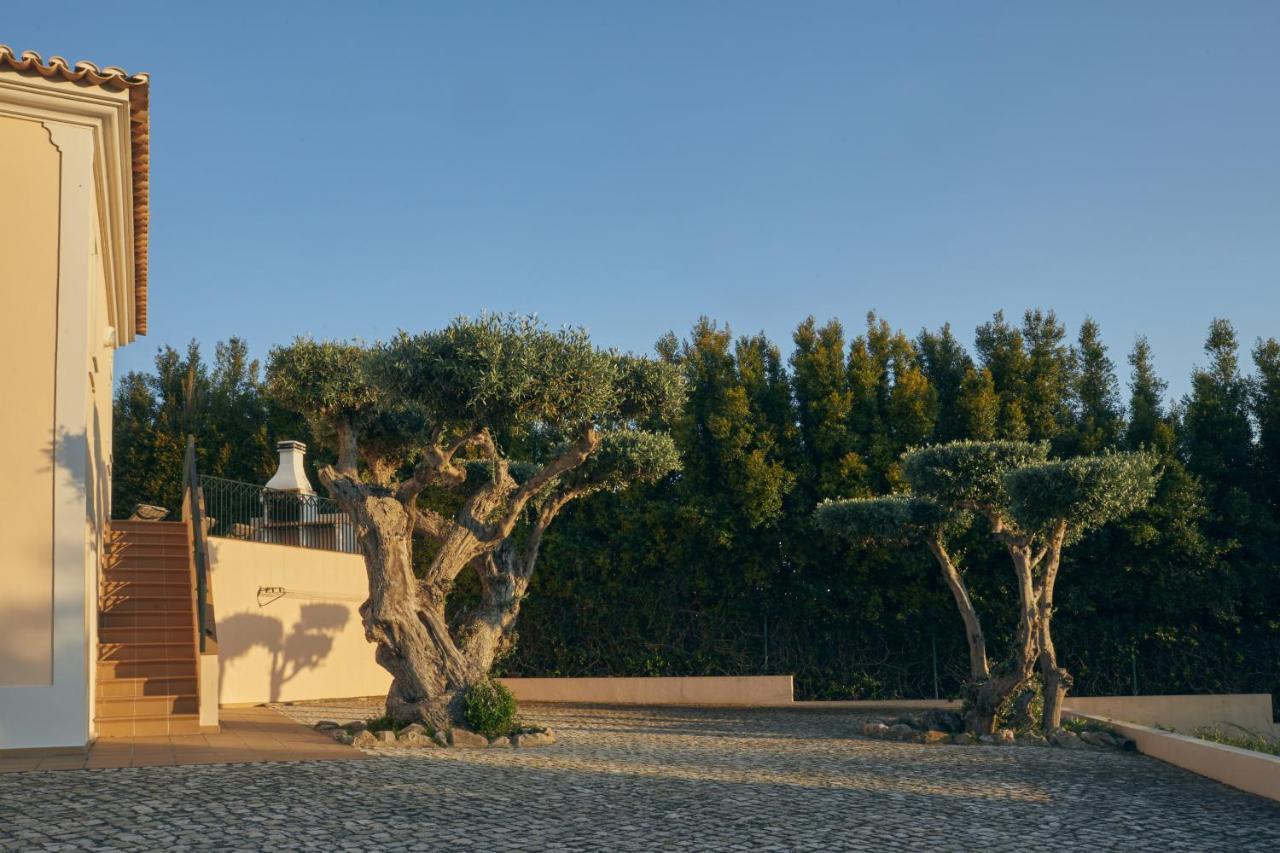 Pousada Monte Das Oliveiras Lux - 600m From The Beach - Swimming Pool - Wi Fi - Aircon *