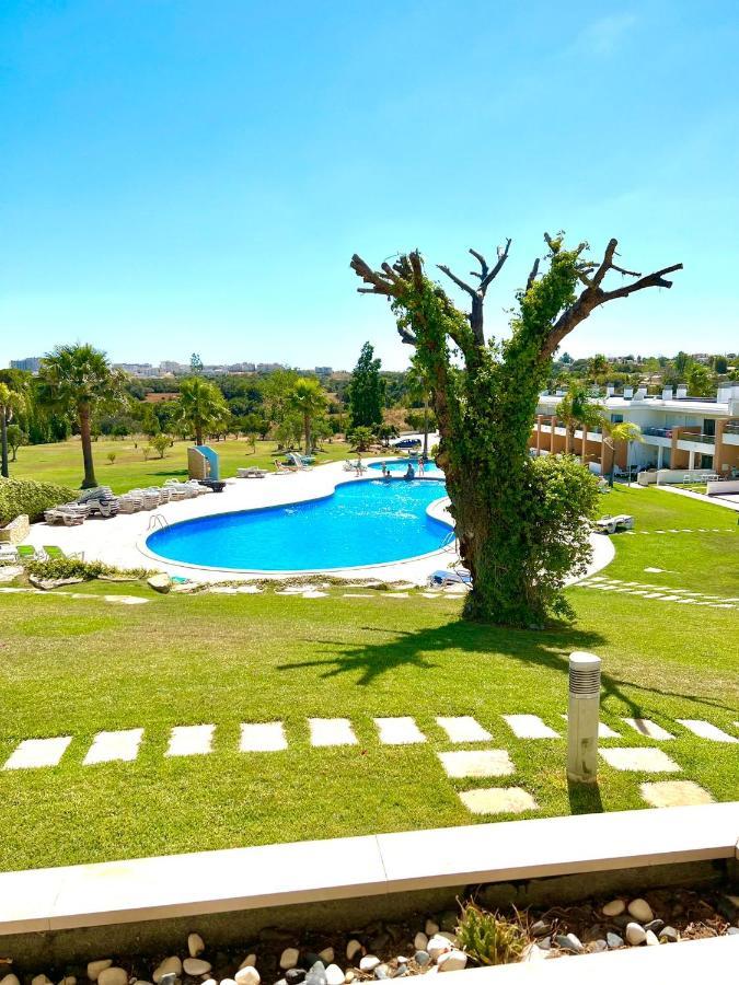 Vila Branca Cheerful Holiday home *