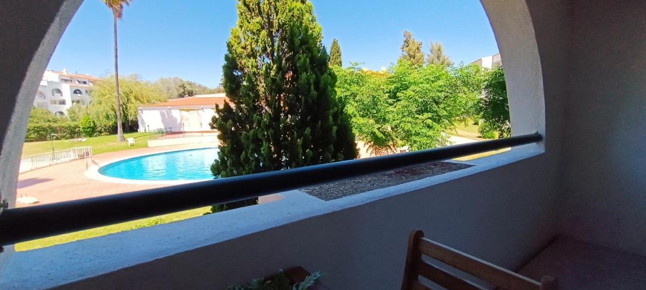 Apartamento 211 Moderno Com Vista A Piscina No Centro Da