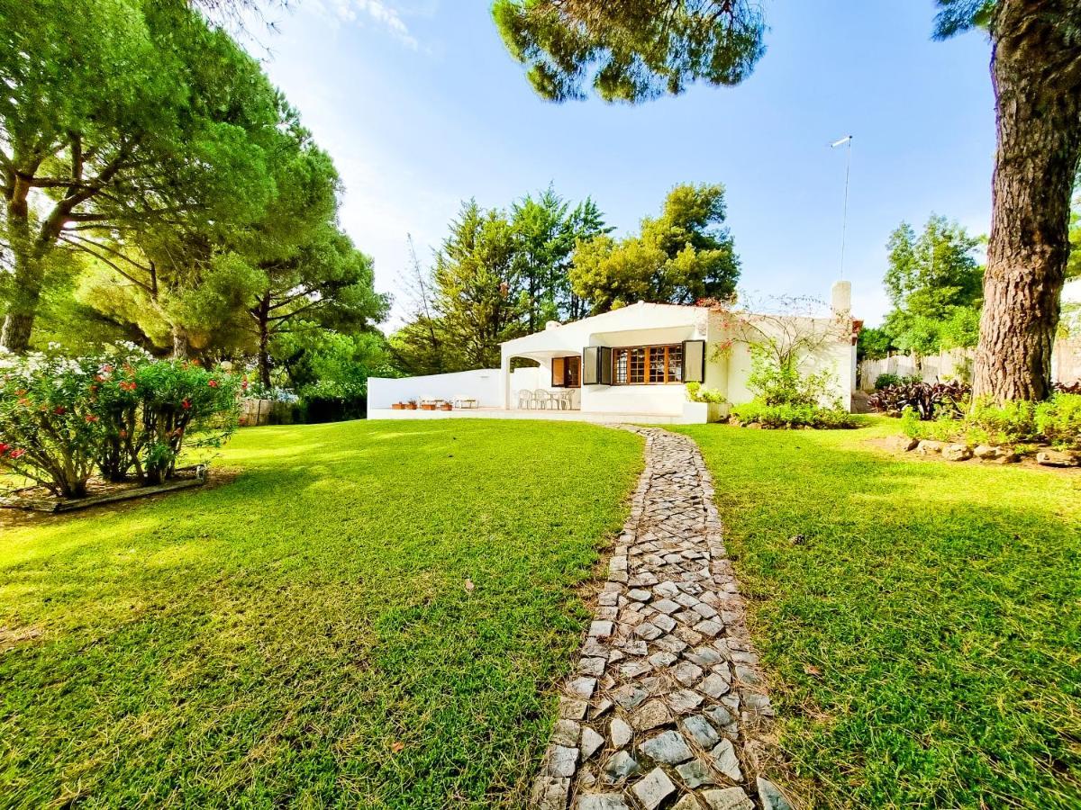 Apartment Flh Balaia House With Terrace Albufeira