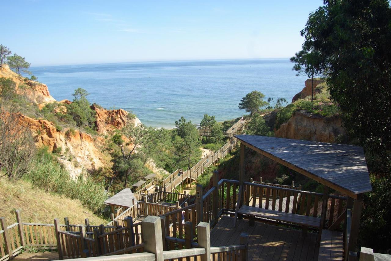 Beautiful 2-bed In Olhos De Agua