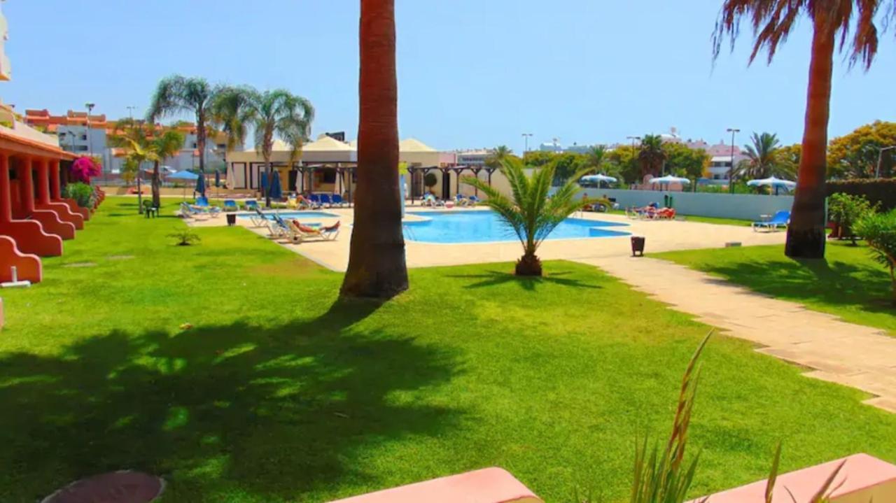 Xavilla 8 *