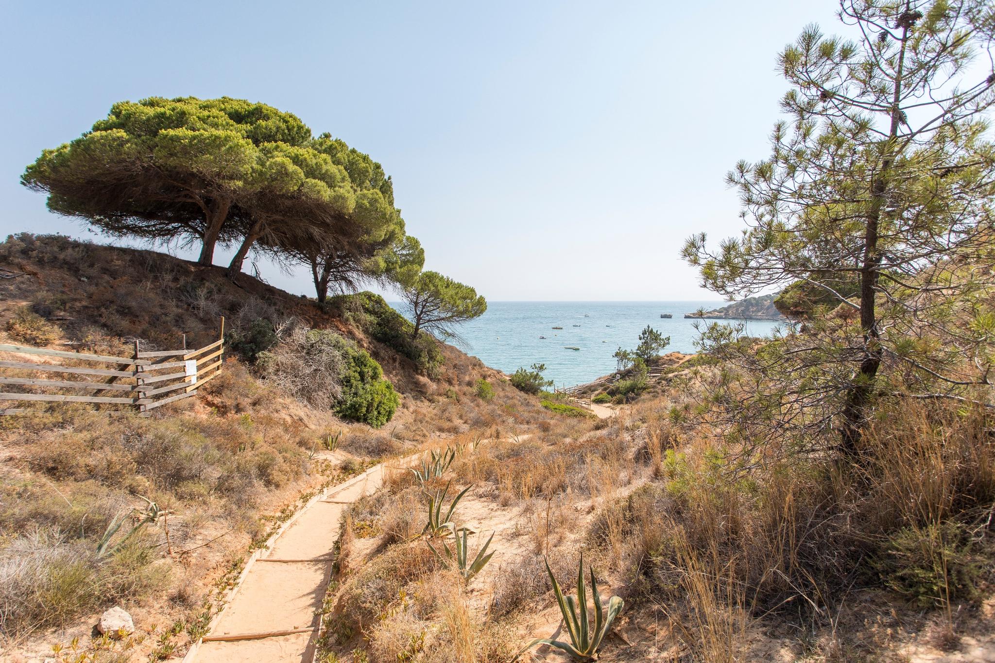 Alfagar Village 3*