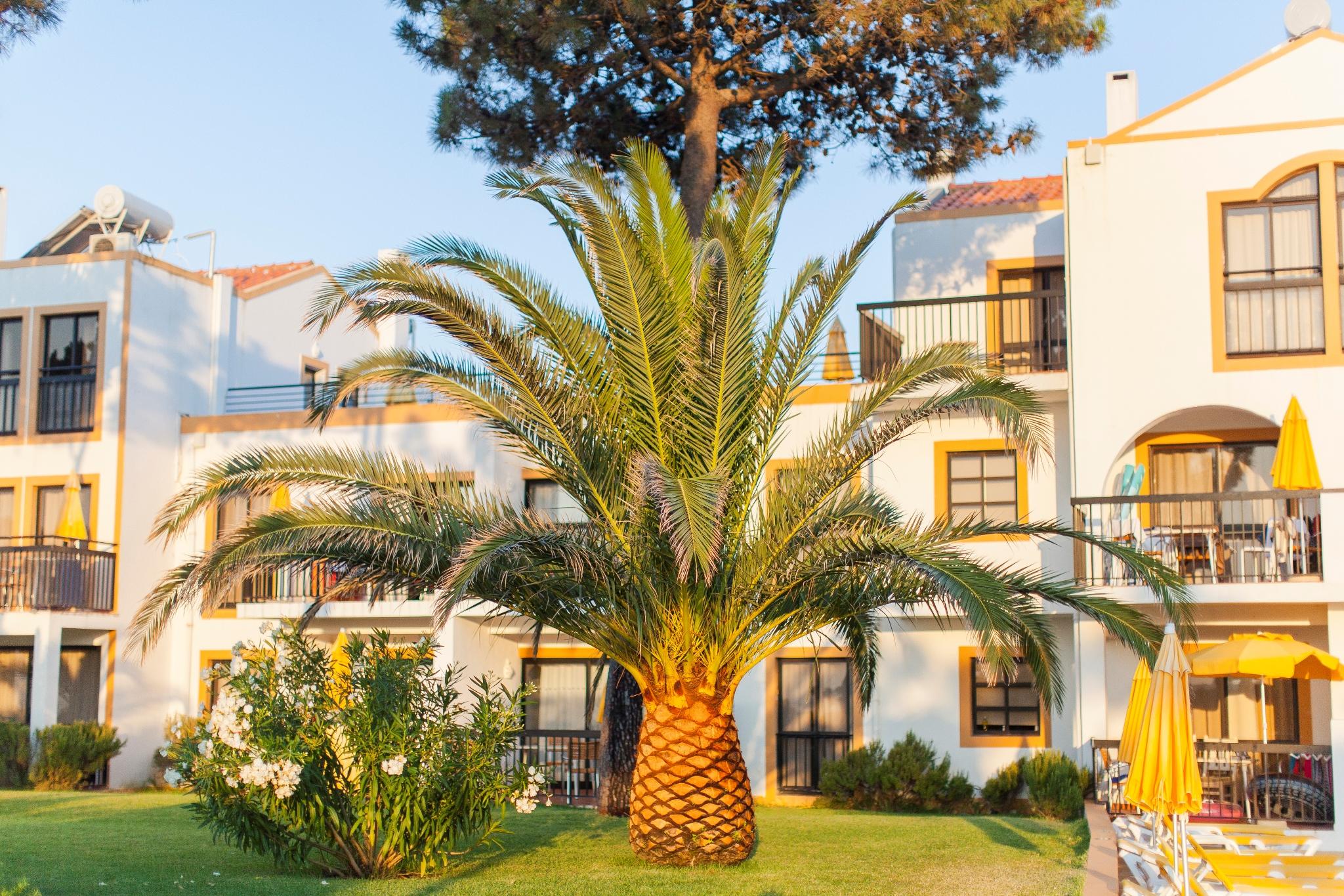Apart-hotel Alfagar Village Albufeira