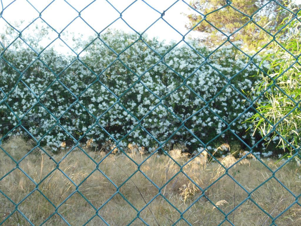Jardins Da Balaia Campo de férias 3*