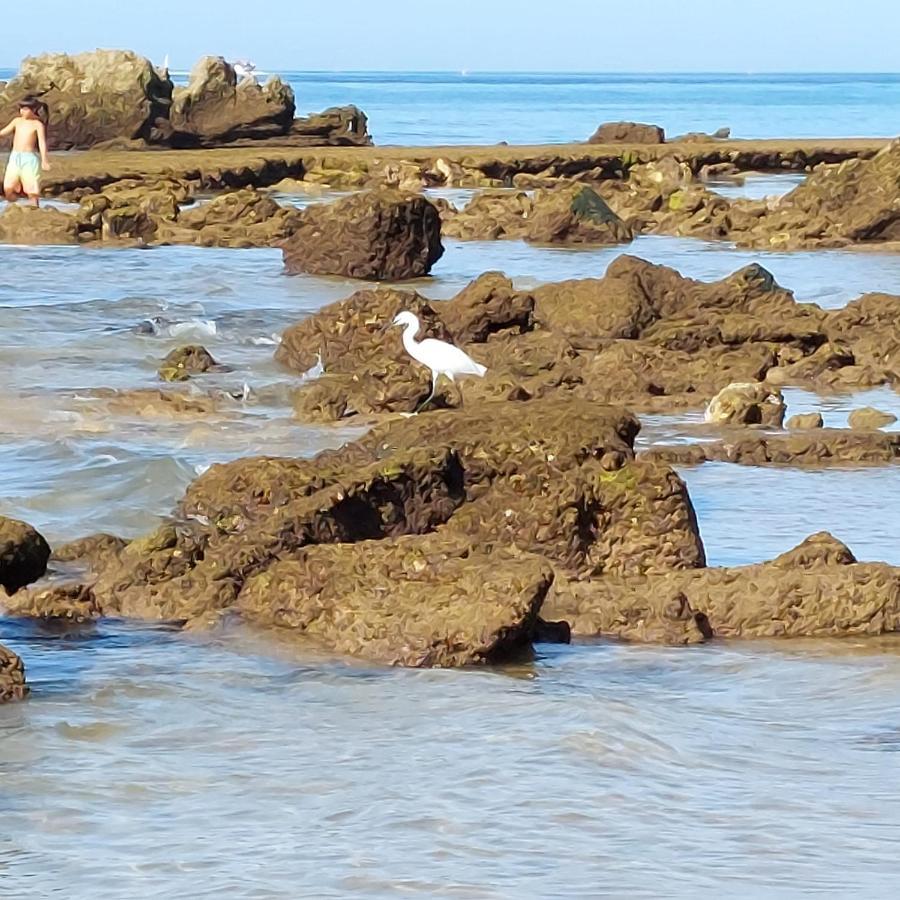Paradise In Olhos D'agua Albufeira