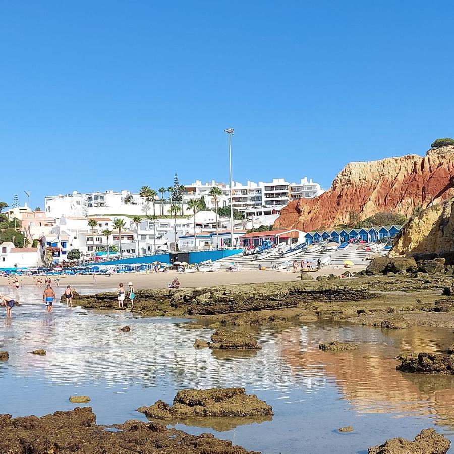 Apartment Paradise In Olhos D'agua Albufeira