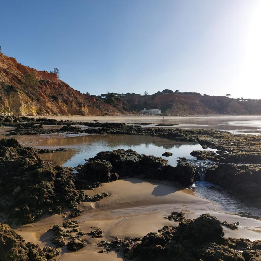 Paradise In Olhos D'agua Albufeira