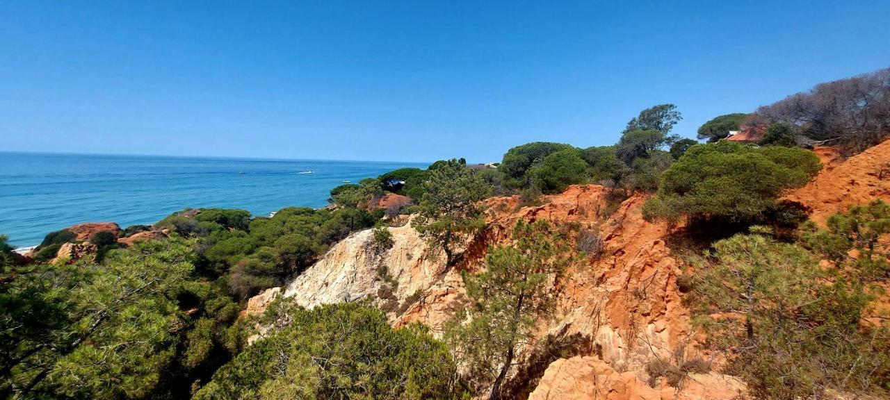 Appartement Jeannie's Oura Estrela *