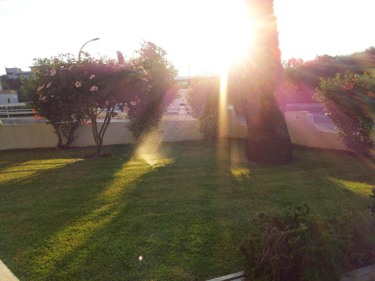 Tamatramas Albufeira