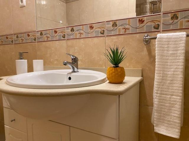 Wonderful Appartement