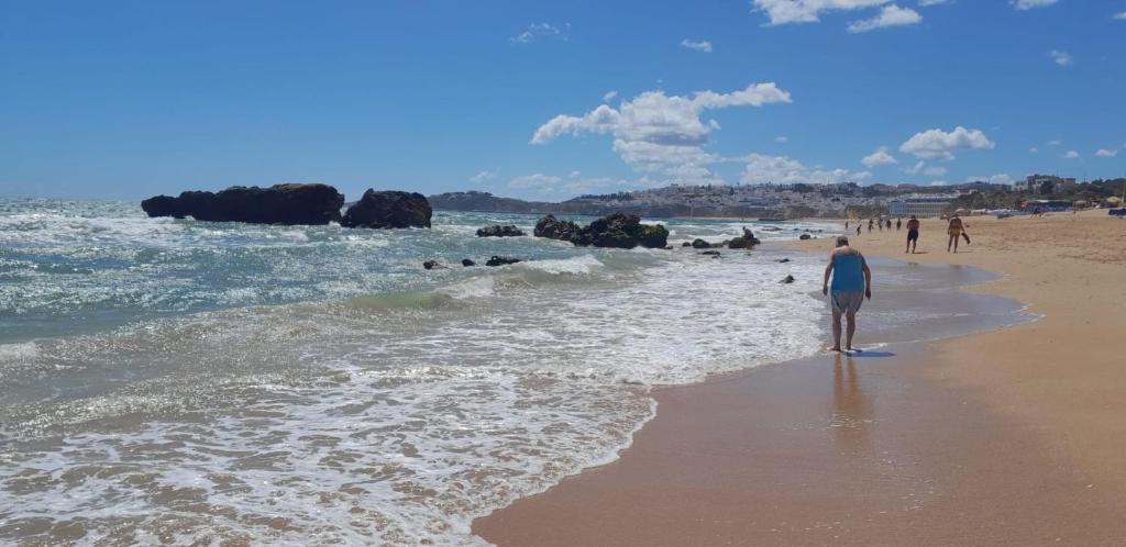 Cesar Manrique - Albufeira, Portugal * Albufeira