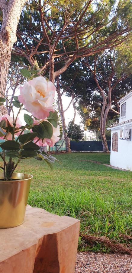 Estudio Na Falesia * Albufeira