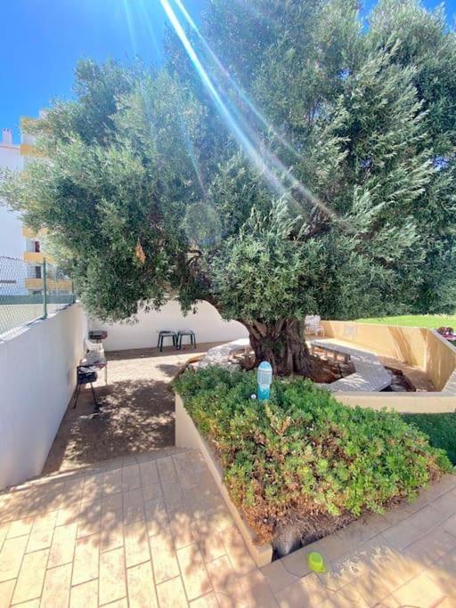 Apartamento Your - Albufeira