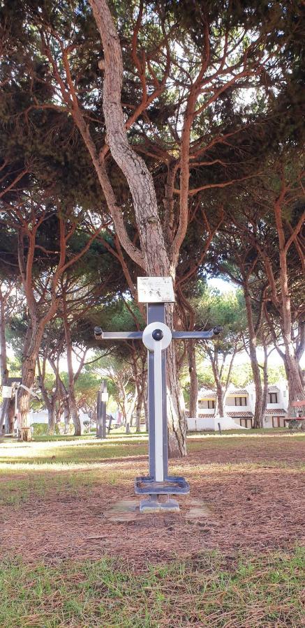 Estudio Na Falesia Albufeira
