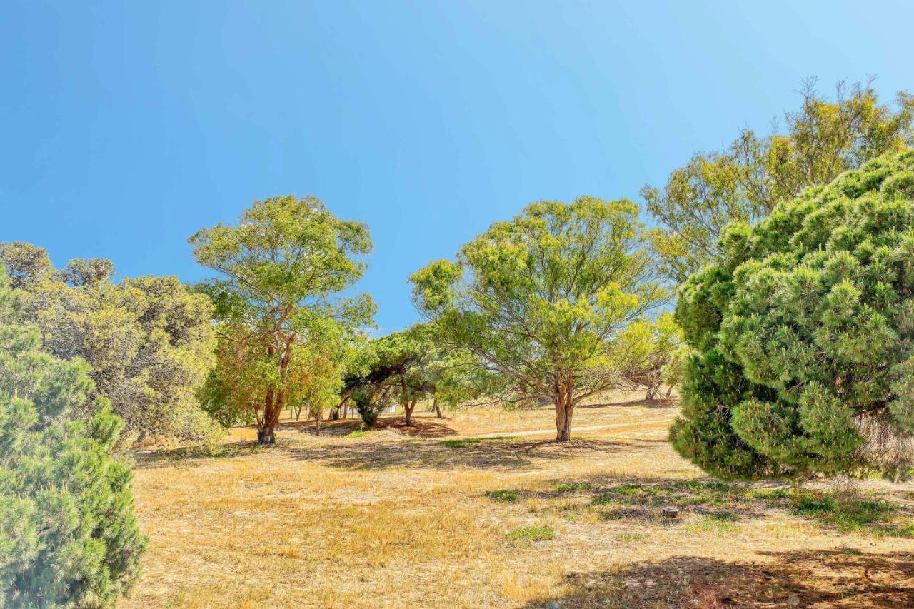 Sequeira Albufeira