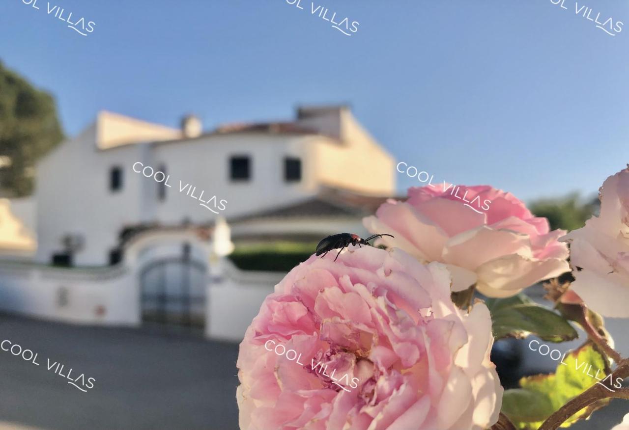 Villa Lilac - Walking Distance To Albufeira