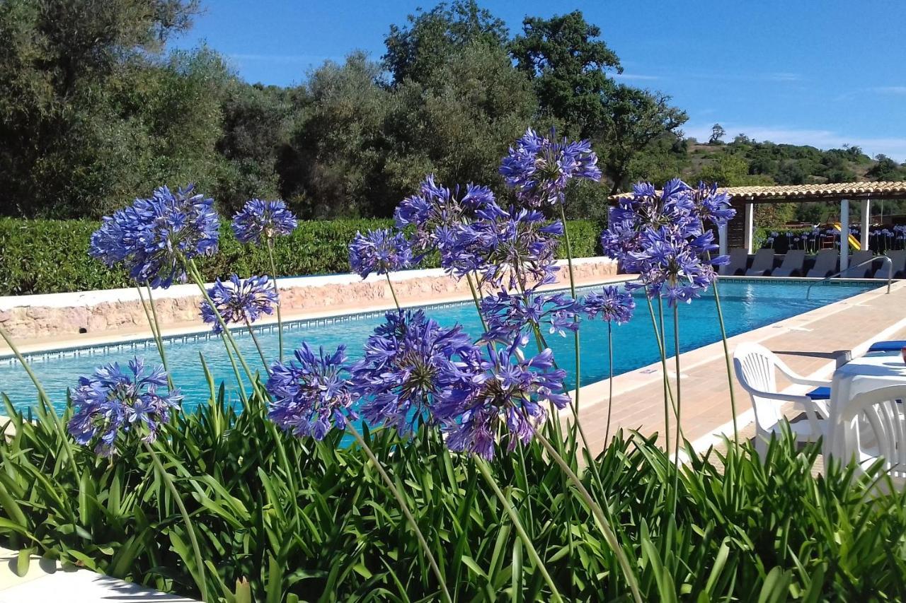 Casa Bela Vista - Fantastic Sea View Holiday home Albufeira