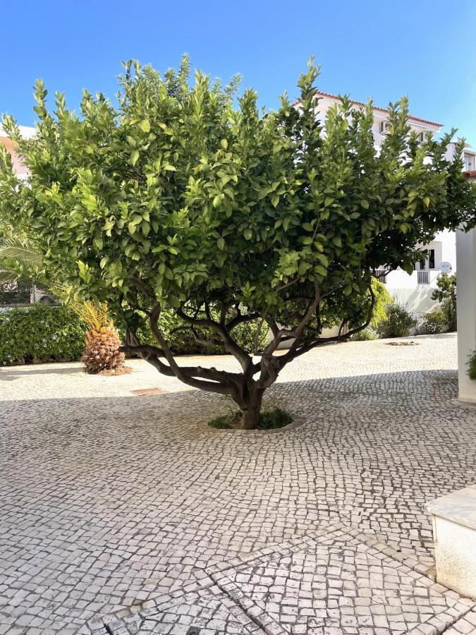Diago Apartamento