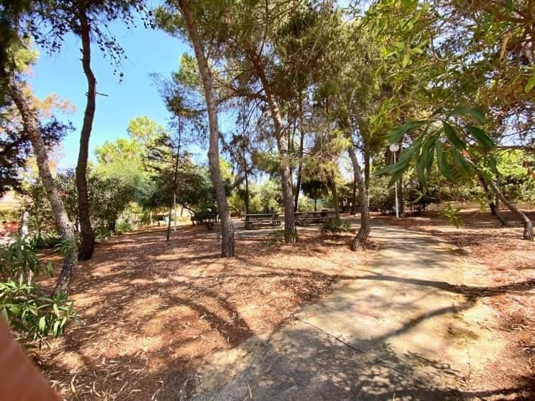 Apartment Flamingo's W/ 2 Swimming Pool Albufeira