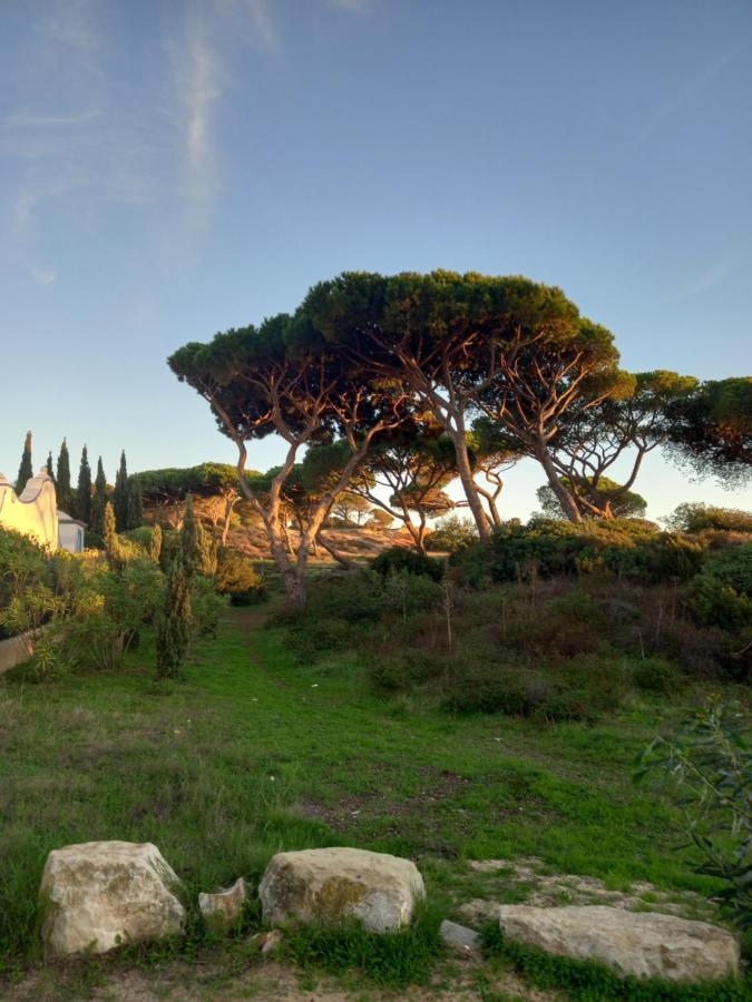 Paradise On The * Albufeira