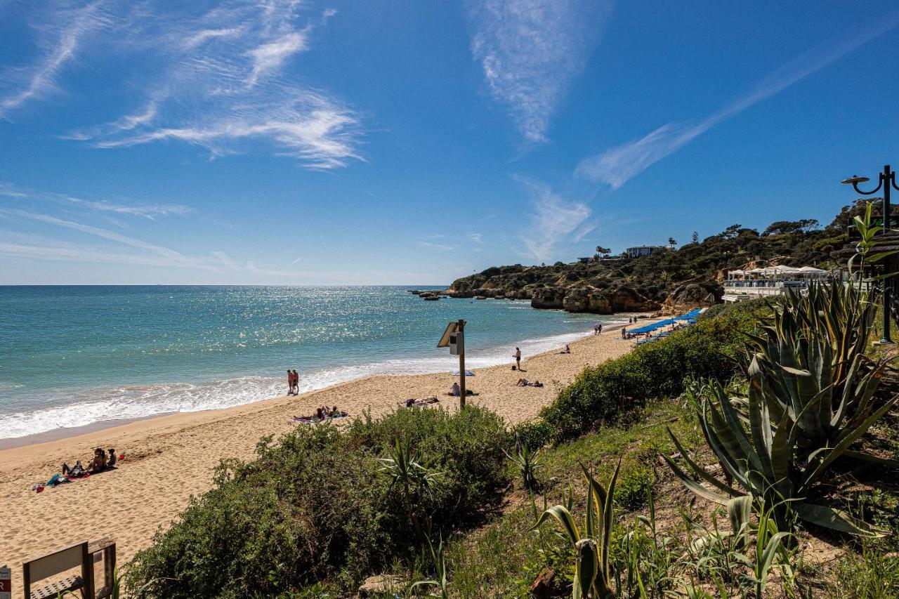 Window Paradise By Alzira * Albufeira