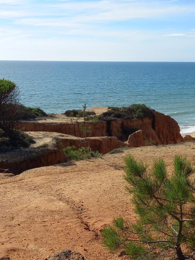 Paradise On The Albufeira