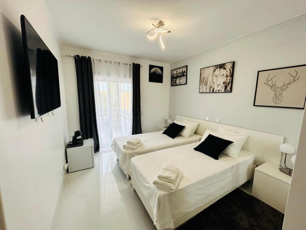 Amazon And Gray Bedrooms Homestay