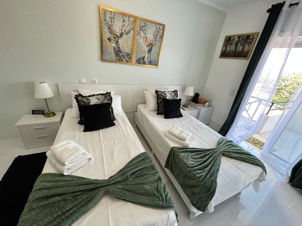 Amazon And Gray Bedrooms Homestay Albufeira