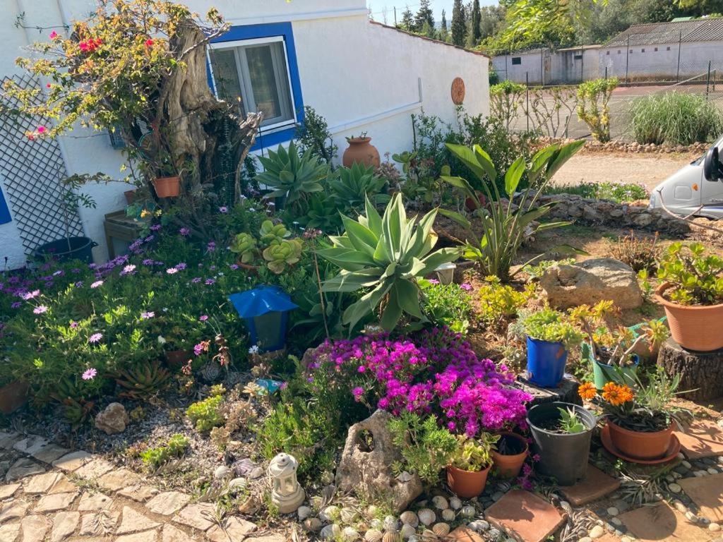 Villa Casa Aleg *