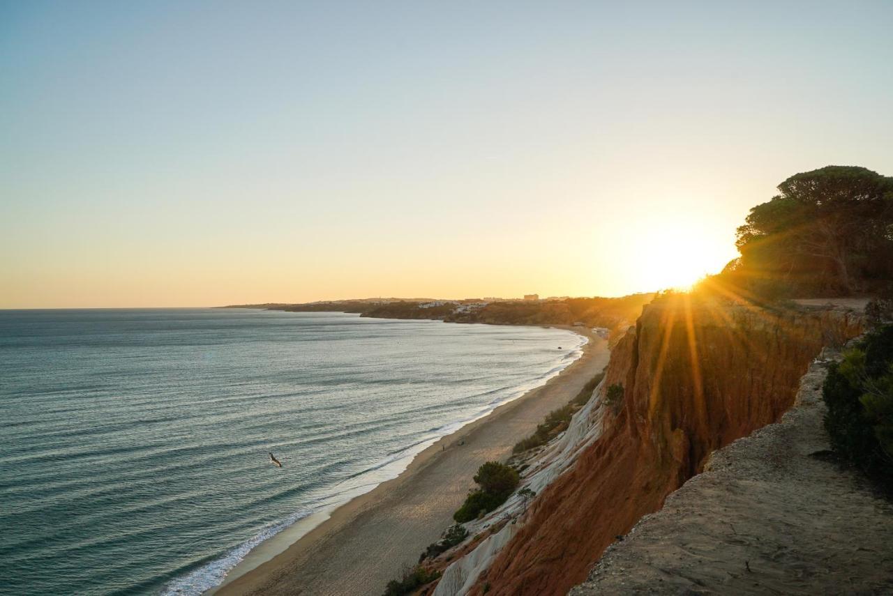 Villa Falesia Ocean By The Portuguese Butler