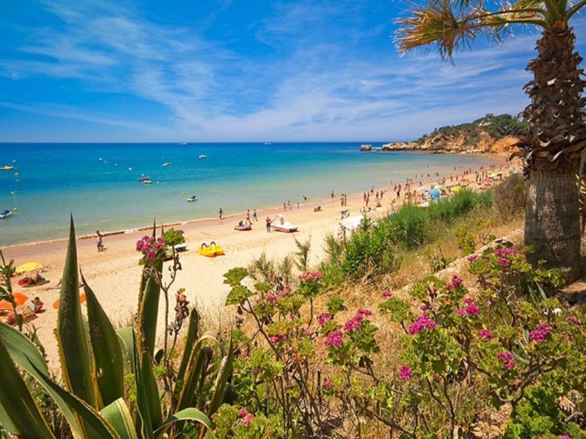 V4, Jardins Branqueira7 Near Beach, Villa *