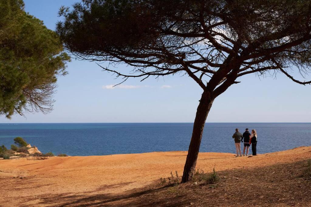 Apartamento Seaside Serenity Beachside