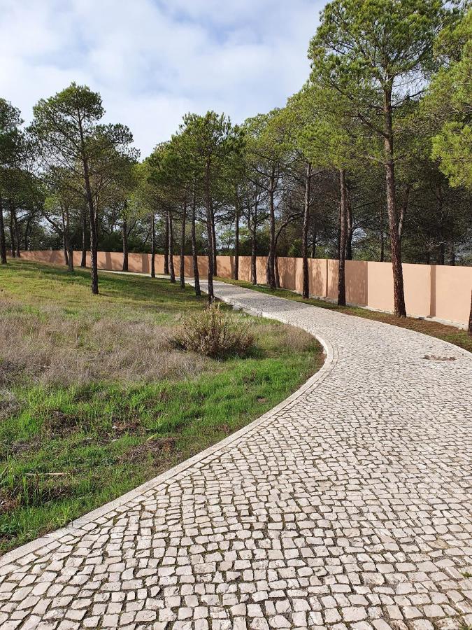 Do Pinhal - By Dalma Portuguesa *